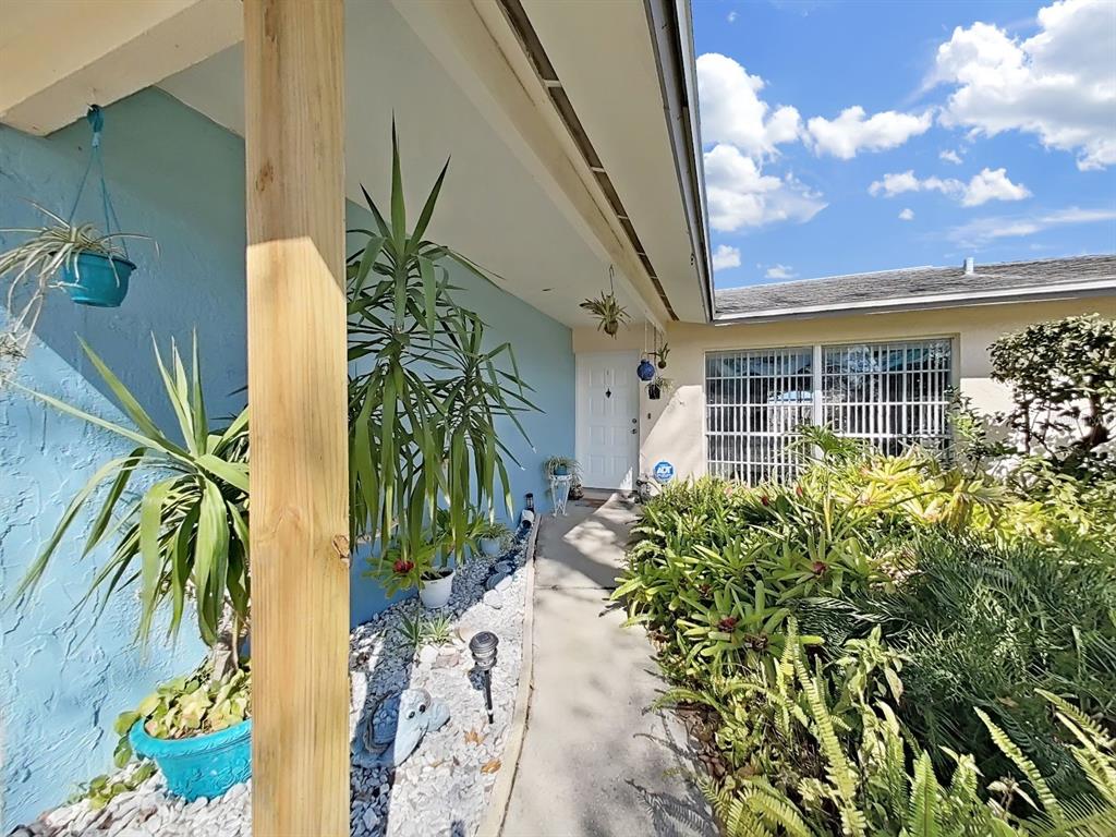 A concrete walkway leads to the front door of a house with blue exterior walls — 5205 RIPPLE CREEK DRIVE, TAMPA, FL
