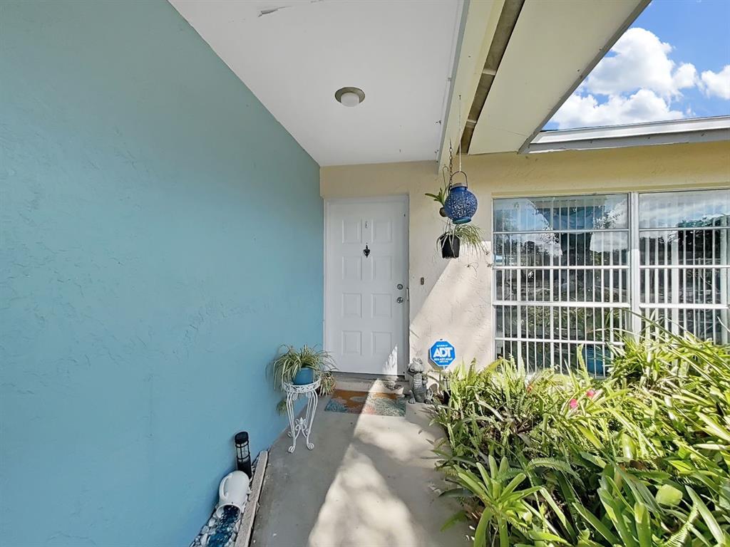 A front entryway features a white door, a blue accent wall, and a small garden — 5205 RIPPLE CREEK DRIVE, TAMPA, FL