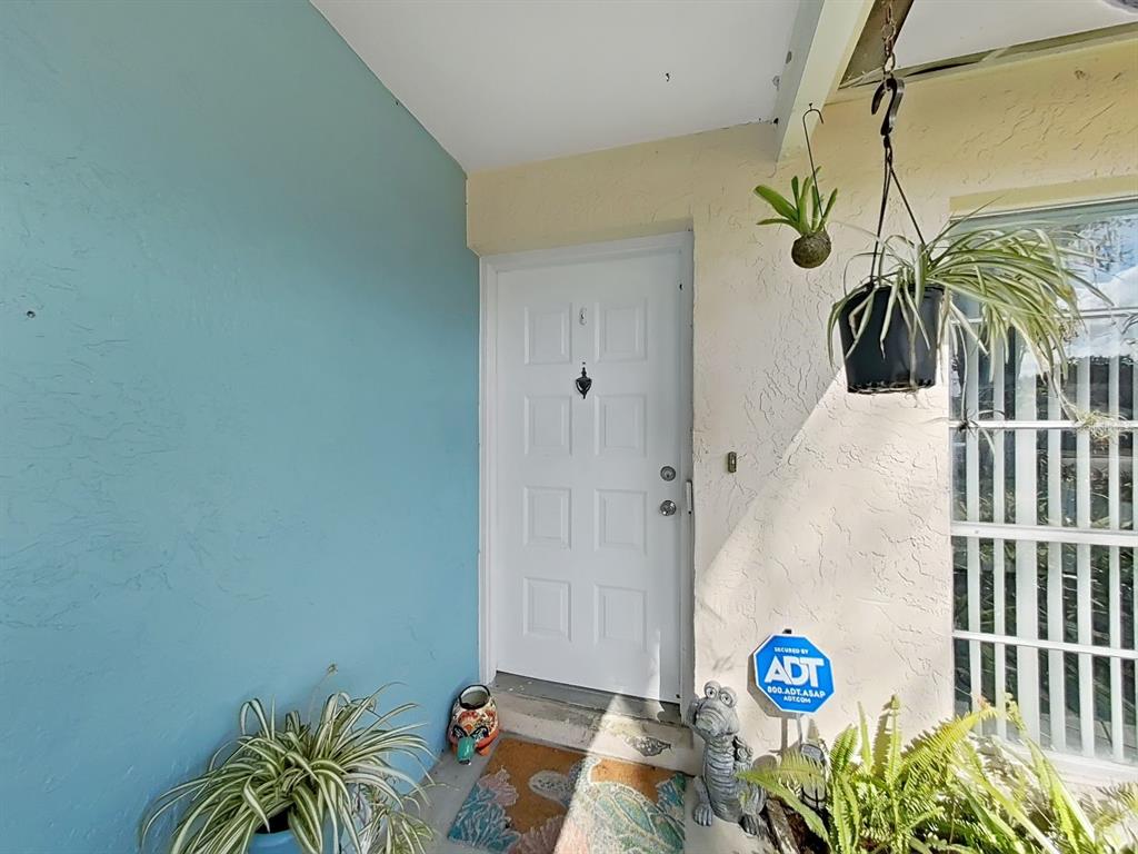 A white front door with a knocker sits on a porch with blue walls — 5205 RIPPLE CREEK DRIVE, TAMPA, FL