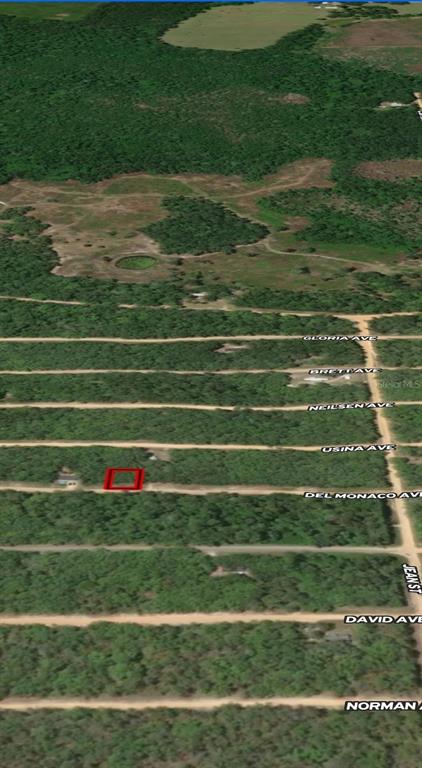 This is an aerial map showing a rectangular lot highlighted in red along a dirt road — LOT 28 DEL MONACO AVENUE, INTERLACHEN, FL