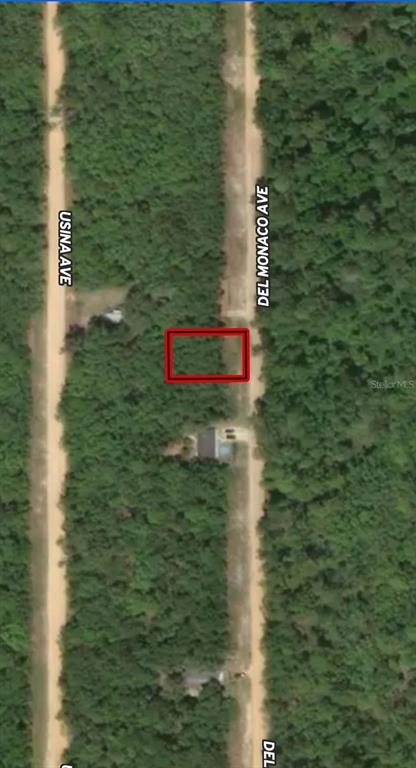 An aerial map view shows a rectangular plot of land outlined in red — LOT 28 DEL MONACO AVENUE, INTERLACHEN, FL