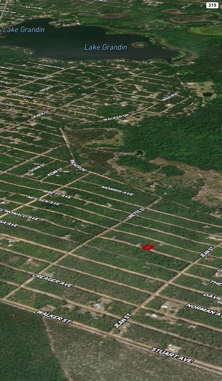An aerial map view shows a red-outlined vacant lot surrounded by wooded residential streets — LOT 28 DEL MONACO AVENUE, INTERLACHEN, FL
