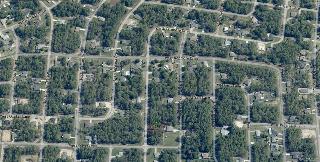 This is an aerial map showing a residential lot highlighted in red within a wooded neighborhood — 7697 N PRIMROSE DRIVE, CITRUS SPRINGS, FL