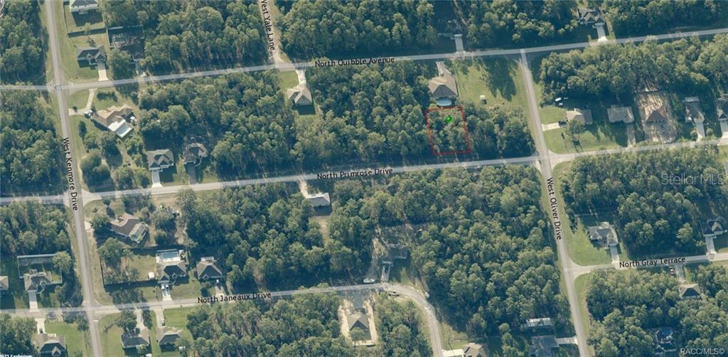 This aerial map shows a vacant, wooded residential lot outlined in red — 7697 N PRIMROSE DRIVE, CITRUS SPRINGS, FL