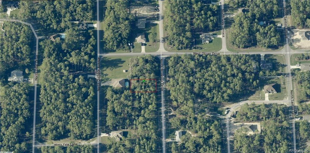 This aerial map shows a vacant, wooded residential lot outlined in red — 7697 N PRIMROSE DRIVE, CITRUS SPRINGS, FL