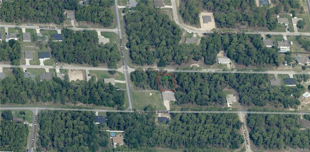 This is an aerial map view of a vacant, wooded residential lot outlined in red — 7697 N PRIMROSE DRIVE, CITRUS SPRINGS, FL