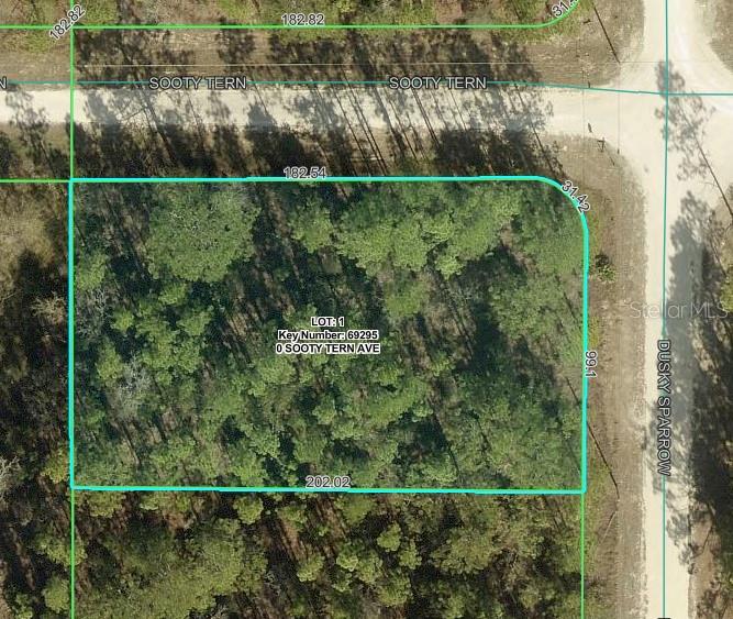 This is a satellite map showing a vacant, wooded corner lot with property boundary lines — SOOTY TERN AVENUE, WEEKI WACHEE, FL