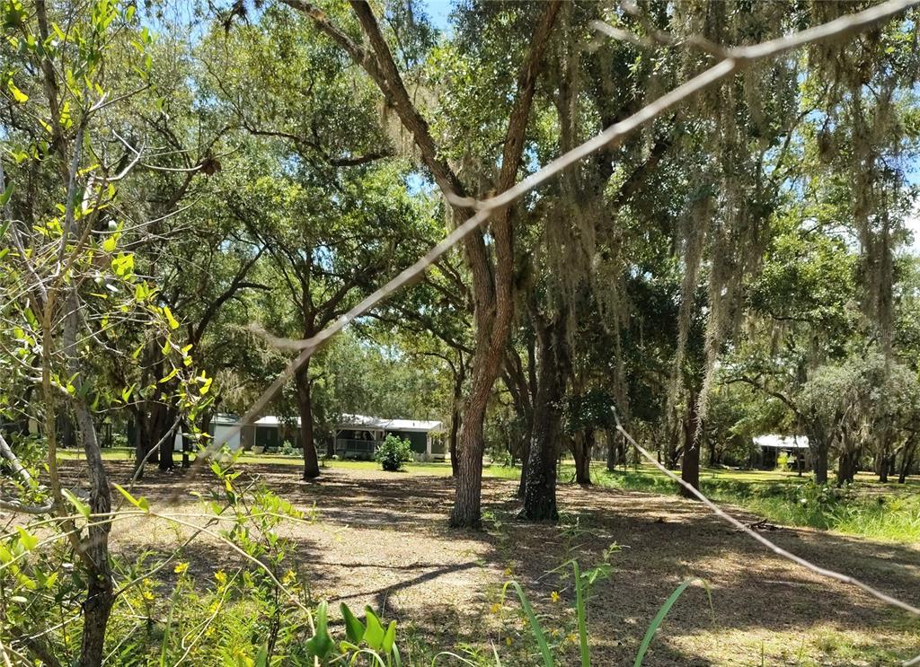 A wooded lot features a small house nestled among large trees with hanging moss — 12627 BLACKBERRY LANE, LAKE WALES, FL