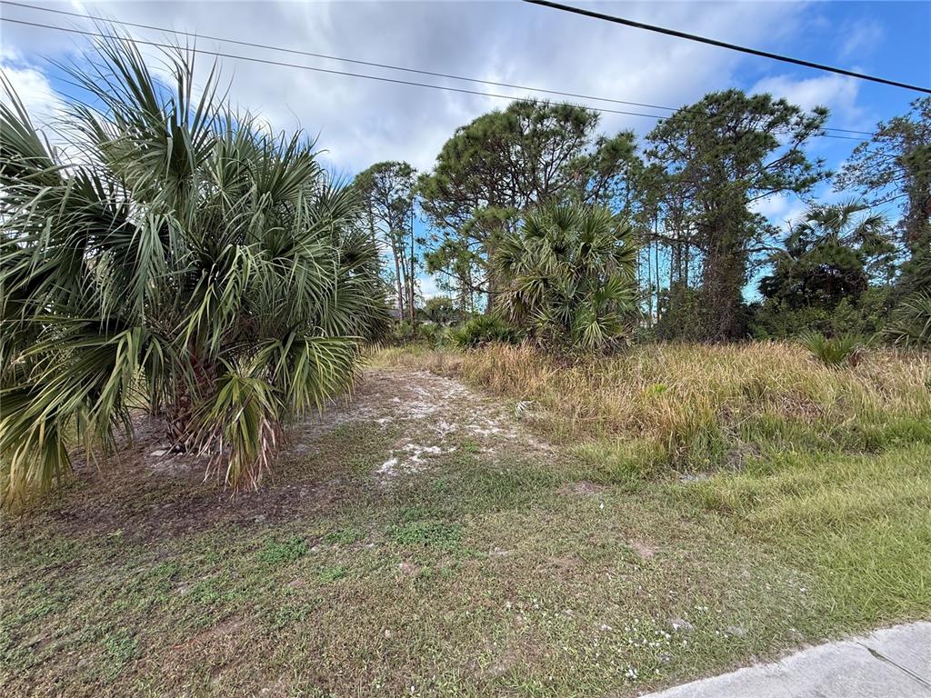 A vacant, grassy lot features a large palm tree and several pine trees — JEANNIN DRIVE, NORTH PORT, FL