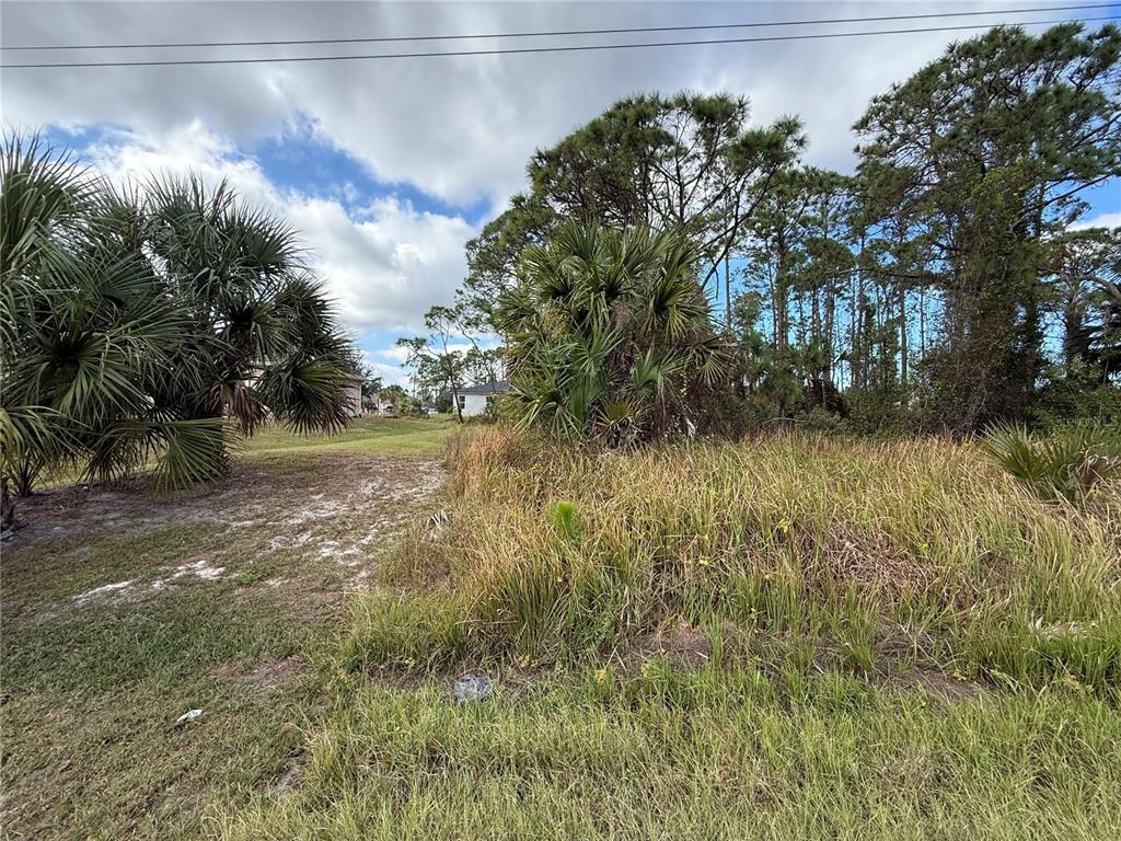 A vacant, grassy lot features several large palm trees and pine trees under a cloudy sky — JEANNIN DRIVE, NORTH PORT, FL