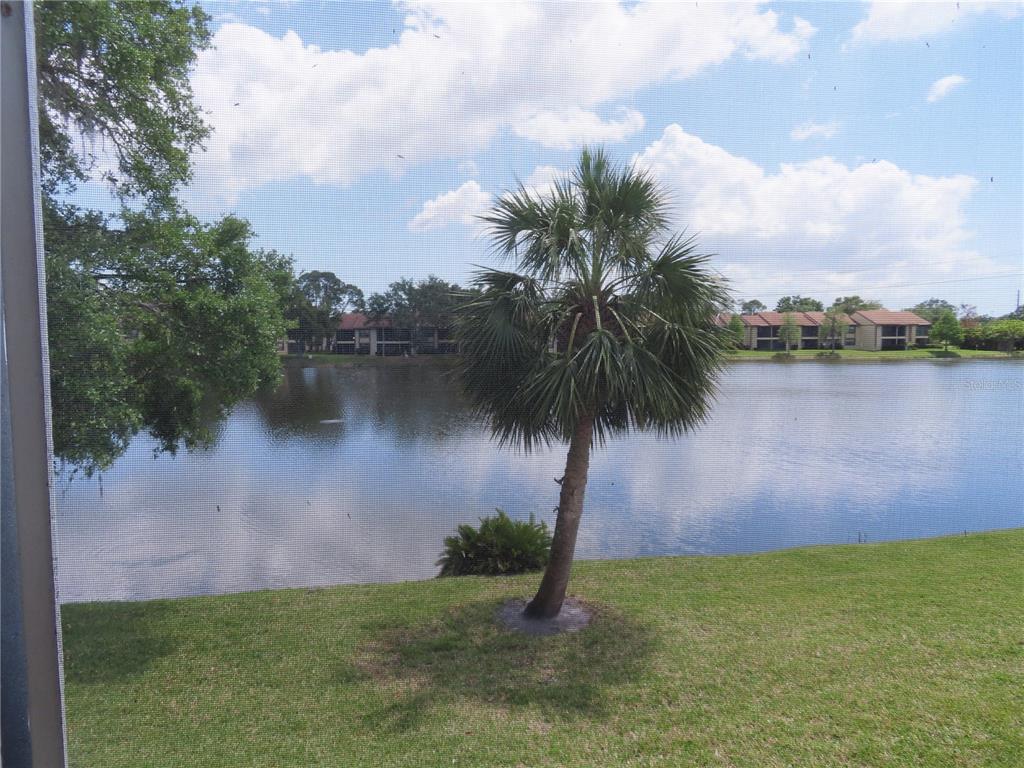 224 CYPRESS LANE UNIT 224