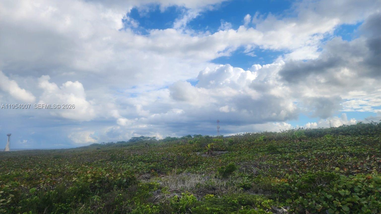 A wide, grassy field with low-lying vegetation under a cloudy sky — 00 Galina, St. Mary, Jamaica, FL, FL