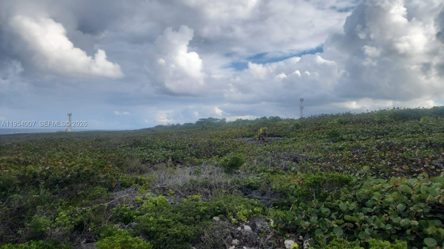 A view of a rocky, shrub-covered landscape under a cloudy sky near the ocean — 00 Galina, St. Mary, Jamaica, FL, FL