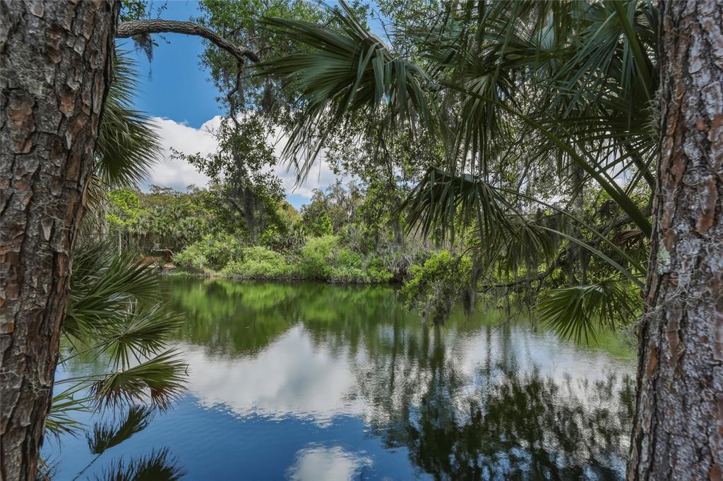 A view of a calm pond surrounded by lush trees and palm fronds — 5573 REAGAN AVENUE, TITUSVILLE, FL