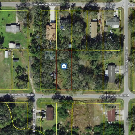 This is an aerial map view showing a vacant rectangular lot outlined in red — 704 1ST AVENUE NE, RUSKIN, FL