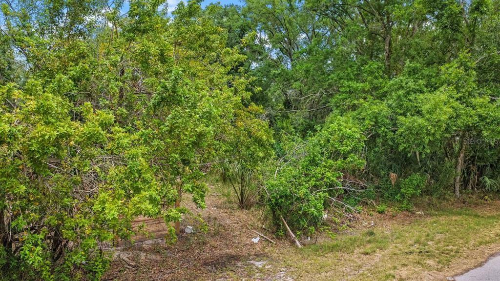 A wooded, overgrown residential lot with a small wooden structure partially hidden by trees — 704 1ST AVENUE NE, RUSKIN, FL