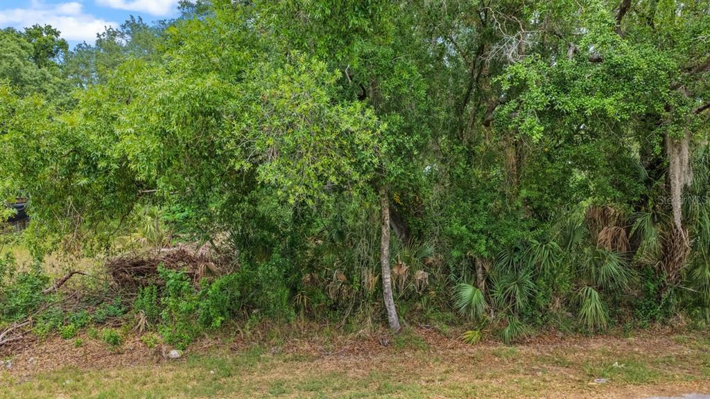 A dense, wooded lot with various trees and undergrowth under a partly cloudy sky — 704 1ST AVENUE NE, RUSKIN, FL