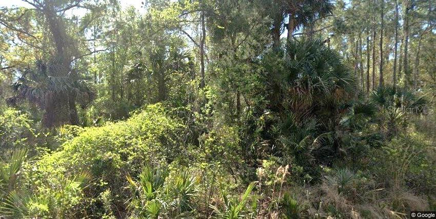 111 EDGEWOOD DRIVE, GEORGETOWN, FL — photo 2 of 3