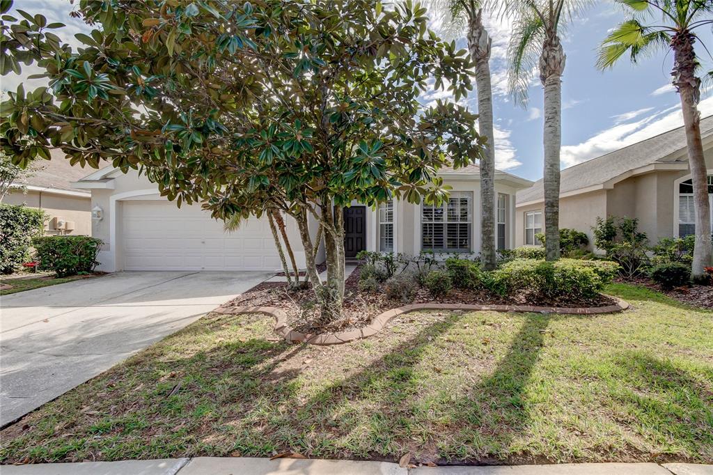 A single-story house with a two-car garage, a large tree, and palm trees in front — 18829 MAISONS DRIVE, LUTZ, FL