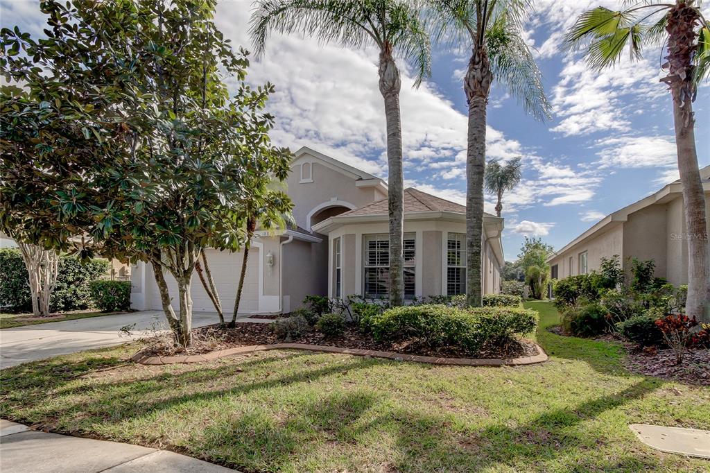 A single-story house with a beige exterior, palm trees, and a landscaped front yard — 18829 MAISONS DRIVE, LUTZ, FL