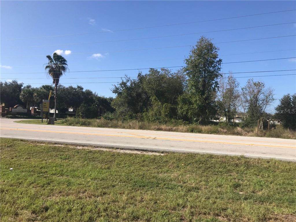 A vacant, grassy lot sits alongside a paved road with trees and a palm tree — CORNER OF CR 33 AND CENTENNIAL PKWY, MASCOTTE, FL
