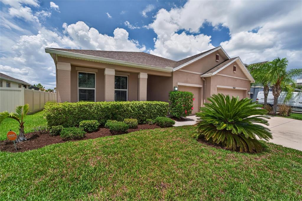 A single-story tan house with a manicured hedge, a palm tree, and a concrete driveway — 11621 TETRAFIN DRIVE, RIVERVIEW, FL