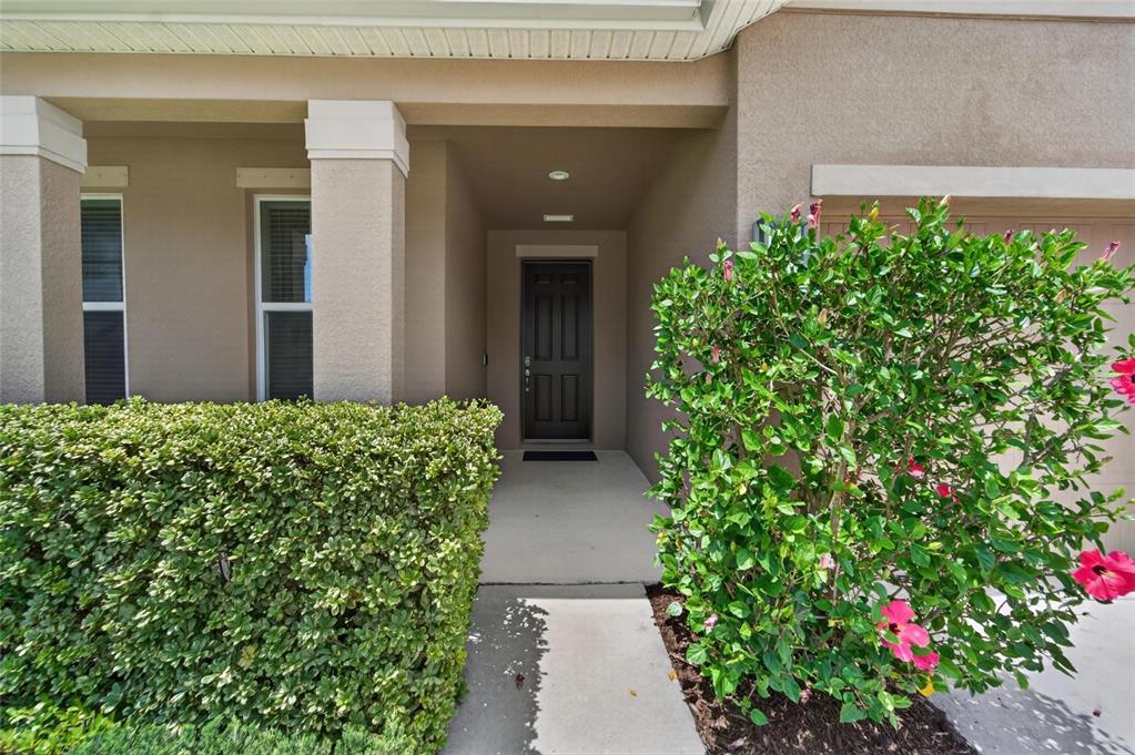 A concrete walkway leads to a dark front door recessed under a covered porch — 11621 TETRAFIN DRIVE, RIVERVIEW, FL
