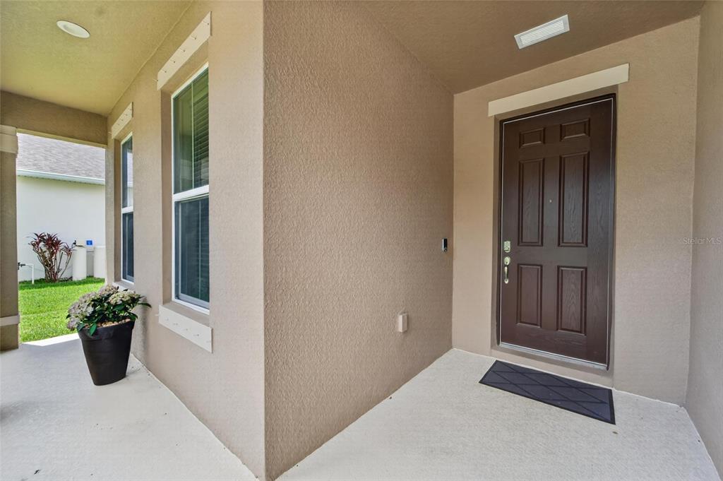 A covered entryway features a brown front door, a potted plant, and light-colored stucco walls — 11621 TETRAFIN DRIVE, RIVERVIEW, FL