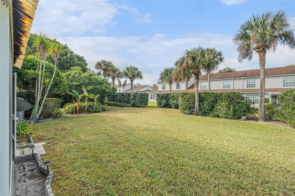 A grassy backyard features palm trees, a hedge, and a view of neighboring townhomes — 21527 WOODSTORK LANE, LUTZ, FL