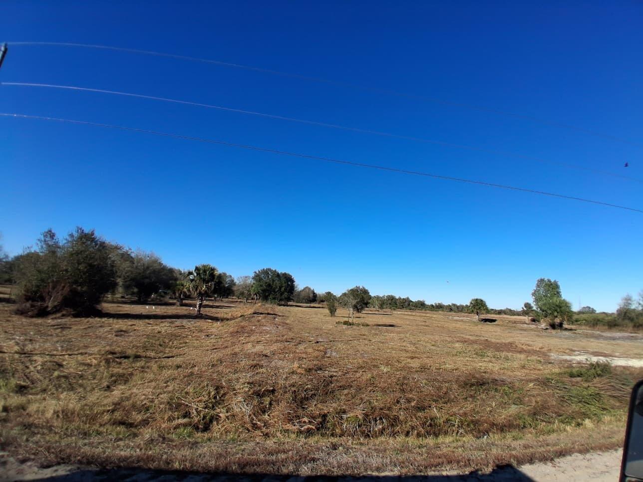 A wide, flat, grassy field with scattered trees under a clear blue sky — 19981 NW 304th Street, Okeechobee FL 34972, OKEECHOBEE, FL