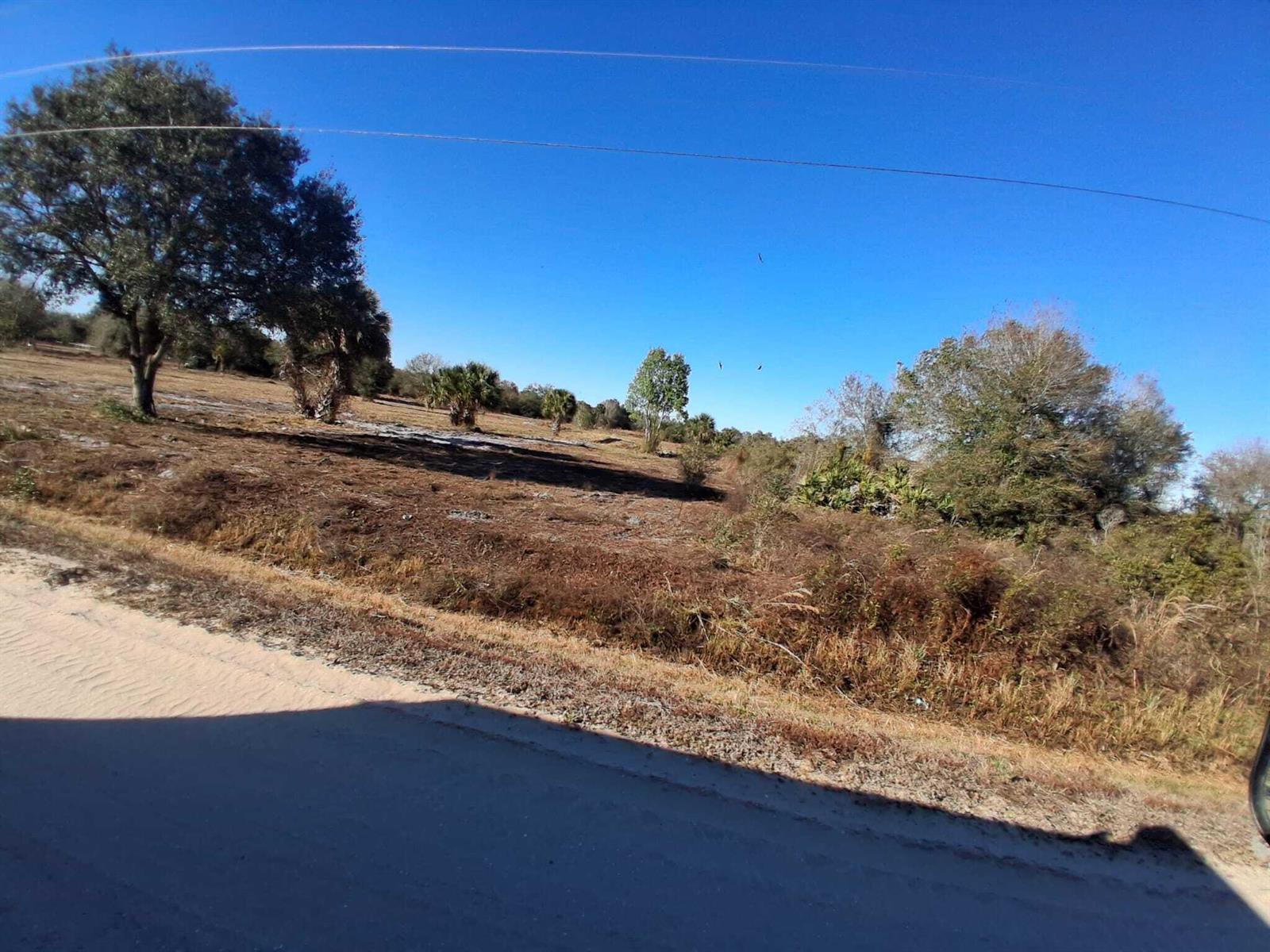 A view of a vacant, grassy lot with scattered trees under a clear blue sky — 19981 NW 304th Street, Okeechobee FL 34972, OKEECHOBEE, FL