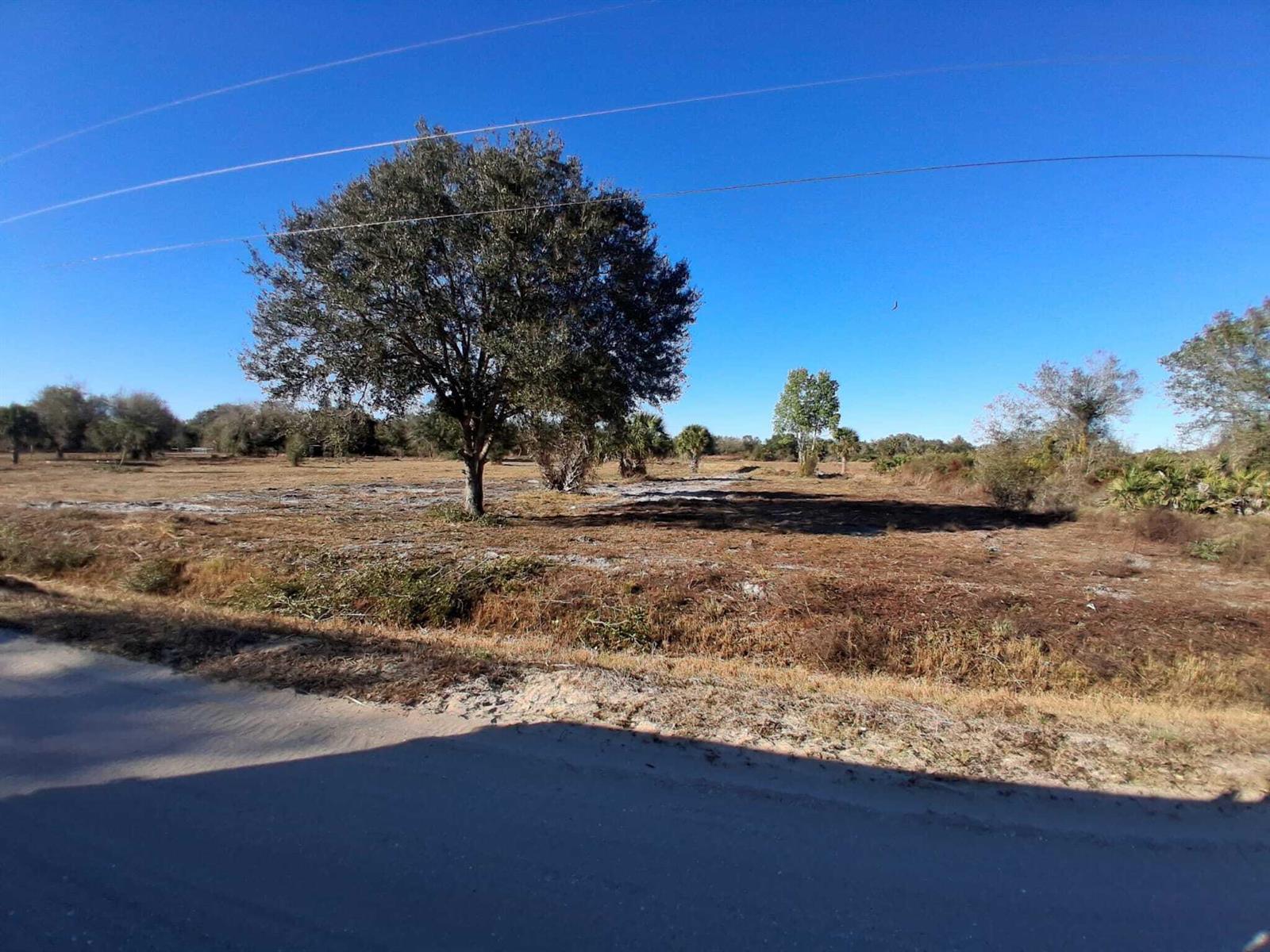 A large, mature tree stands in the center of a flat, cleared, grassy vacant lot — 19981 NW 304th Street, Okeechobee FL 34972, OKEECHOBEE, FL