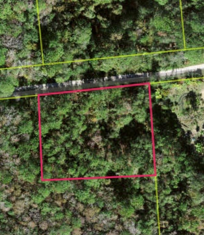 Lot 48 AMELIA TRAIL