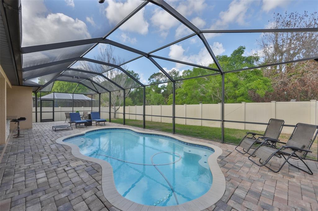 A screened-in patio features a kidney-shaped swimming pool and lounge chairs on a paver deck — 11014 BRAHMAN RANCH CIRCLE, RIVERVIEW, FL