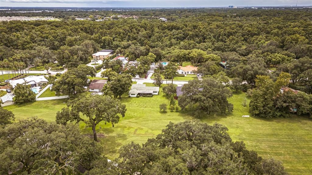 An aerial view shows several houses nestled among dense trees and expansive green lawns — 936 N RIVERHILLS DRIVE, TEMPLE TERRACE, FL
