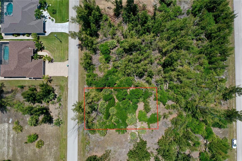 An aerial view shows a rectangular vacant lot outlined in red amidst wooded surroundings — 8409 ANTWERP CIRCLE, PORT CHARLOTTE, FL