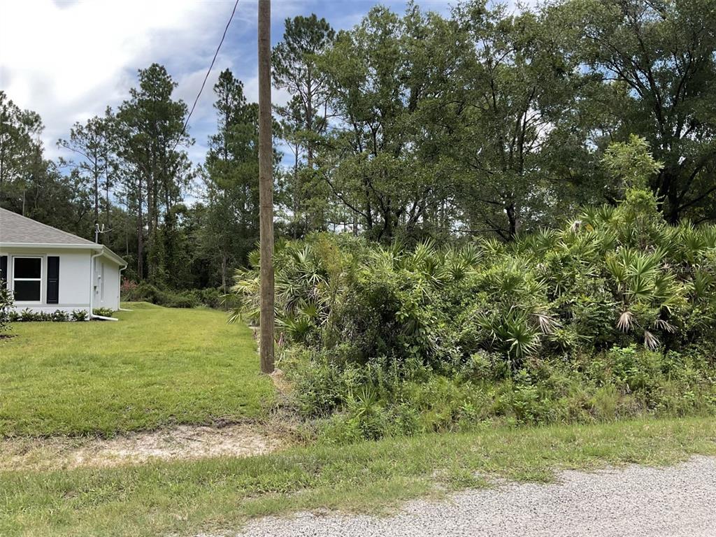 A grassy yard sits beside a white house and a dense patch of palmetto bushes — 4940 KENNETH STREET, HASTINGS, FL