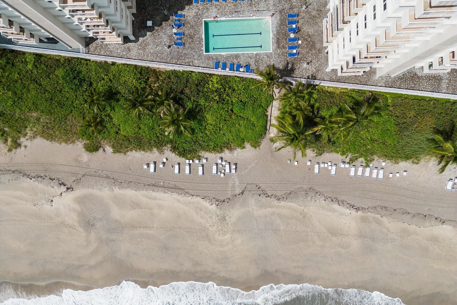 An aerial view shows a beach resort with a swimming pool, lounge chairs, and palm trees — 3215 S Ocean Boulevard # 303, Highland Beach FL 33487, HIGHLAND BEACH, FL
