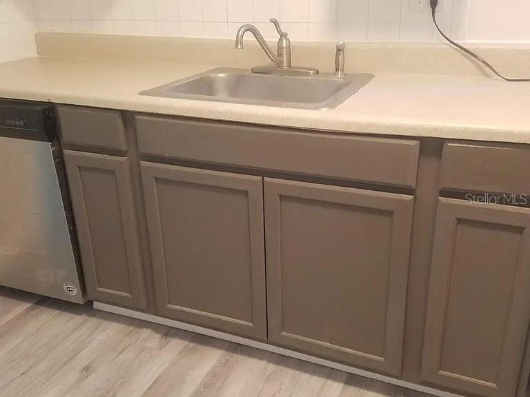 A kitchen sink with a stainless steel faucet is set into a beige countertop — 114 W WILDER AVENUE, TAMPA, FL