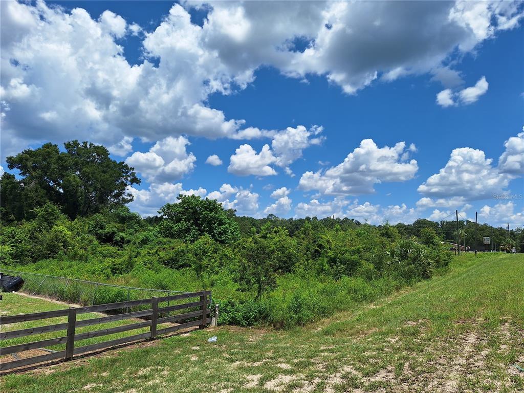 A grassy, overgrown vacant lot bordered by a wooden fence under a cloudy blue sky — TBD SE HWY. 19, OLD TOWN, FL
