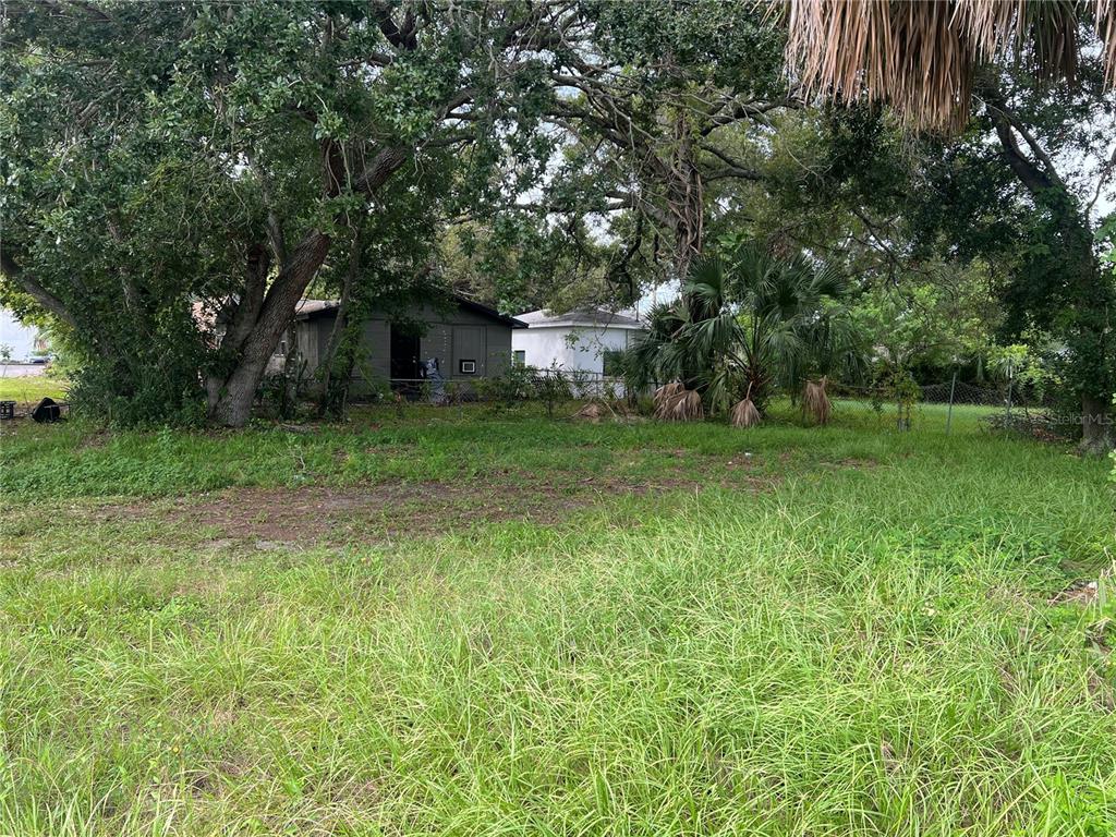 An overgrown grassy lot features two small, weathered buildings shaded by large, mature trees — MARTIN LUTHER KING JR AVENUE, CLEARWATER, FL