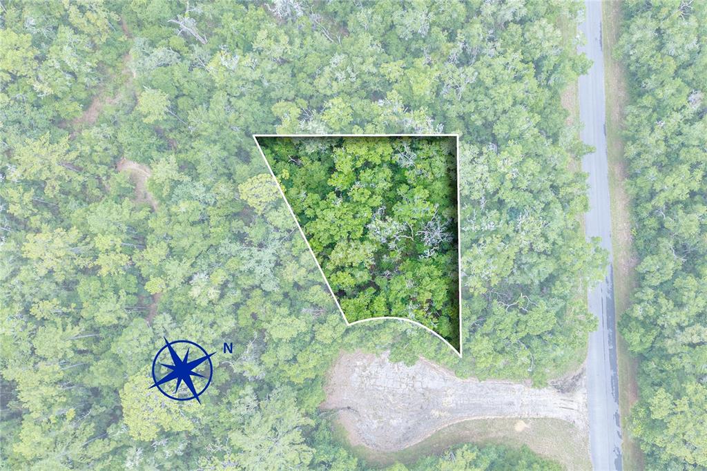 An aerial view shows a wooded lot with a highlighted boundary and a nearby road — 9870 N SKY POINT, DUNNELLON, FL