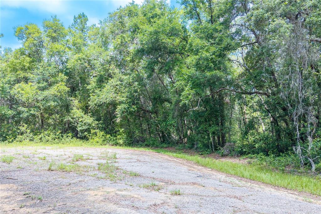 A paved area sits in front of a dense line of mature trees and foliage — 9870 N SKY POINT, DUNNELLON, FL