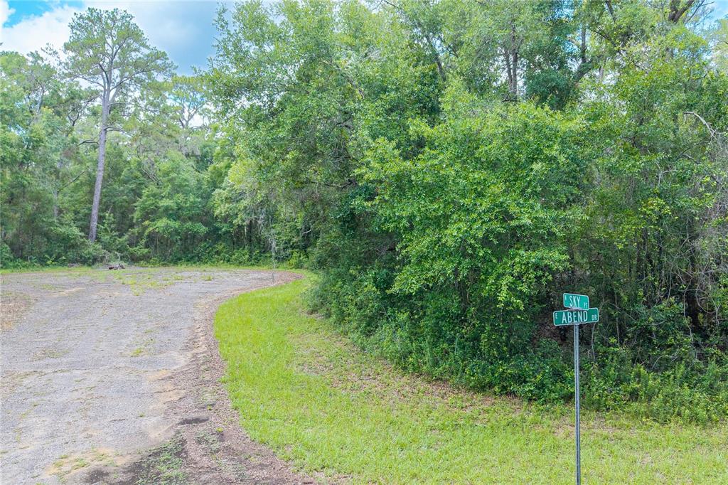 A dirt road curves past a street sign at the edge of a wooded lot — 9870 N SKY POINT, DUNNELLON, FL
