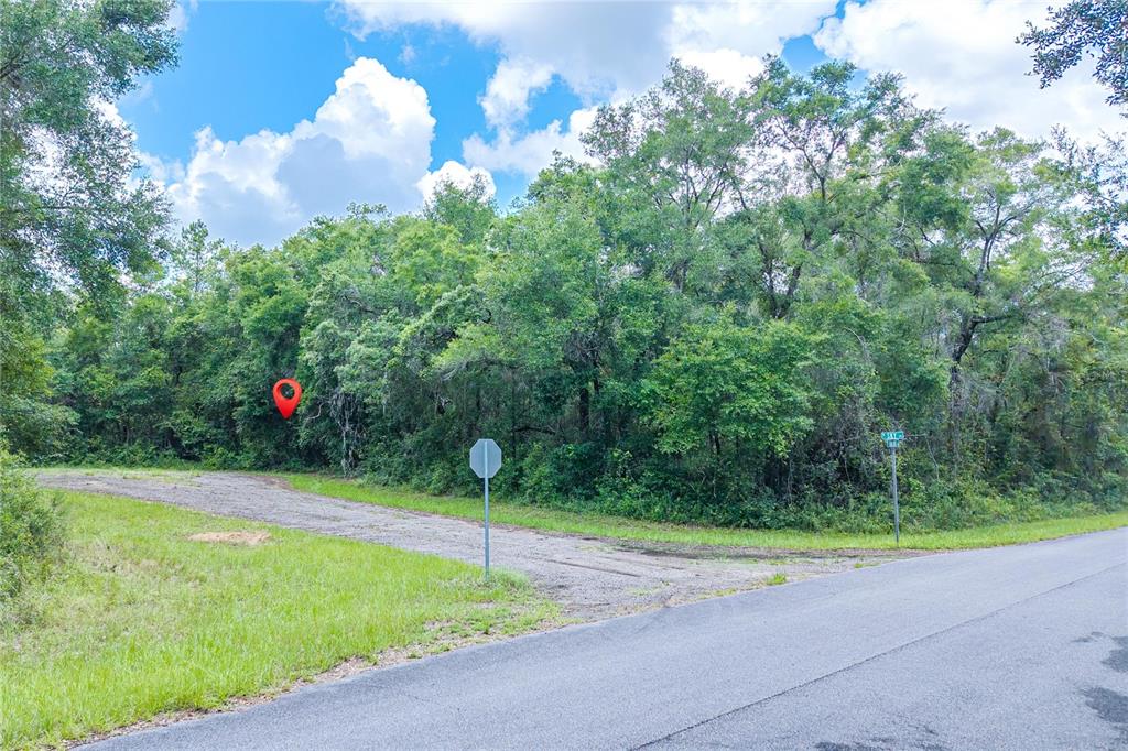 A vacant, wooded corner lot sits at the intersection of two paved roads — 9870 N SKY POINT, DUNNELLON, FL