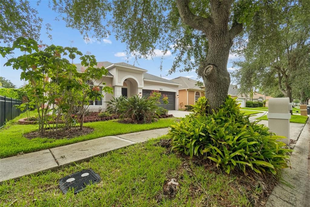 A single-story house with a beige exterior, a two-car garage, and a large front yard — 19029 CHEMILLE DRIVE, LUTZ, FL