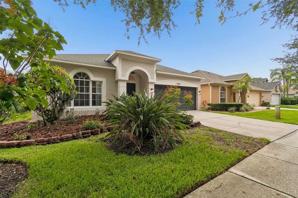 A single-story suburban house with a beige stucco exterior, arched window, and concrete driveway — 19029 CHEMILLE DRIVE, LUTZ, FL