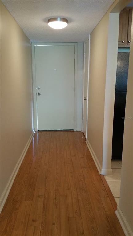 A hallway with wood-look flooring leads to a white door under a ceiling light fixture — 2934 PLAZA TERRACE DRIVE UNIT 2934, ORLANDO, FL