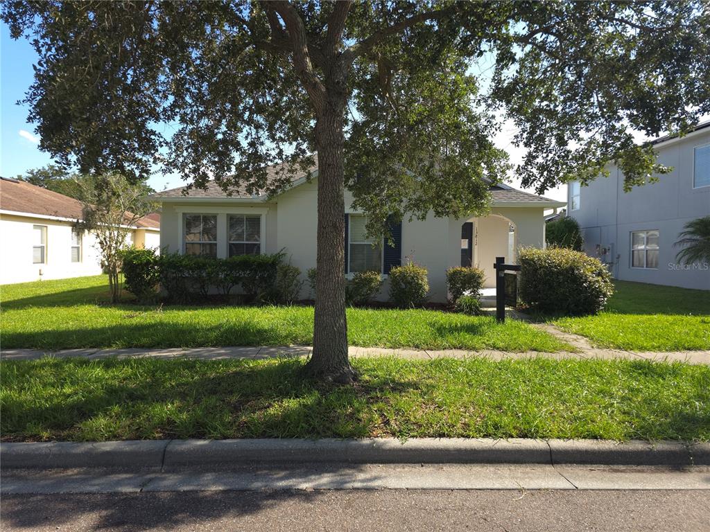 A single-story house with a light-colored exterior, dark shutters, and a large tree in front — 13812 CEPHEUS DRIVE, ORLANDO, FL