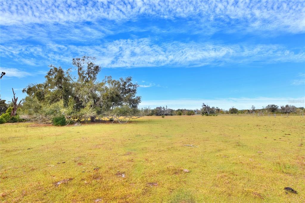 A large, grassy field features scattered mature trees under a bright blue, cloudy sky — 0 CARLTON LAKE ROAD, WIMAUMA, FL